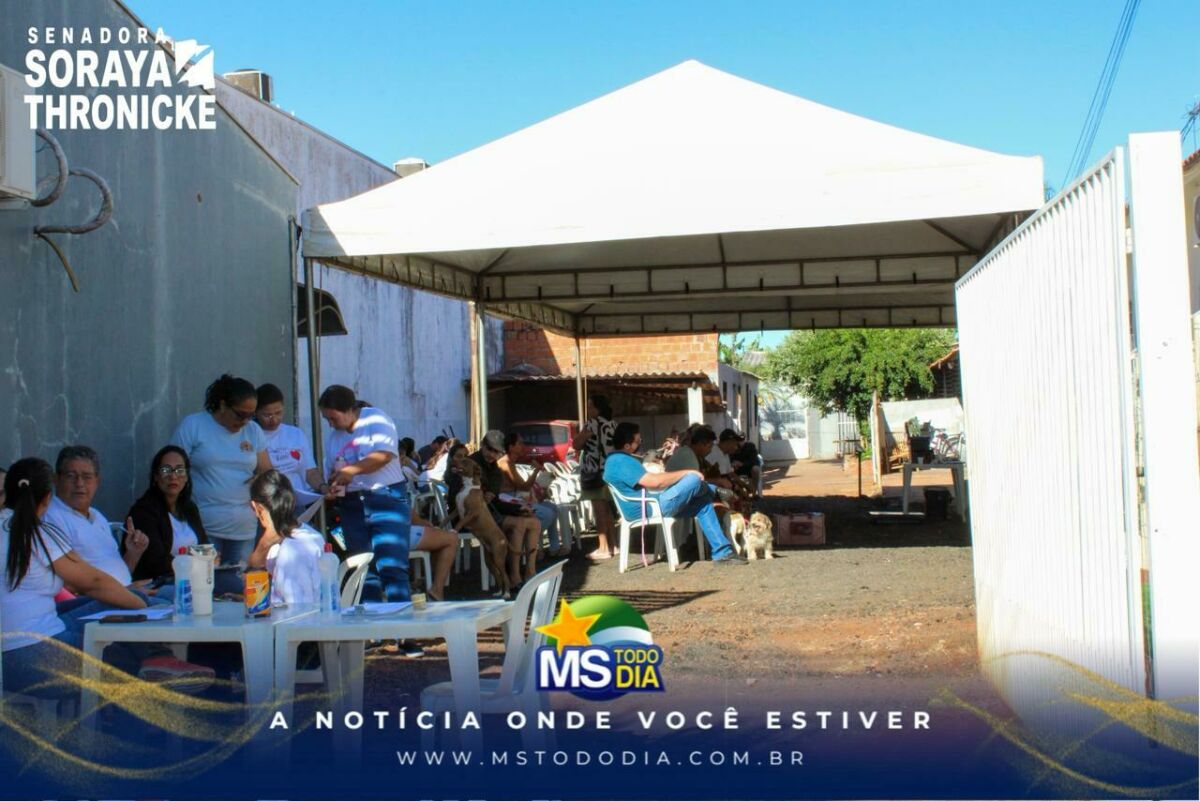 Imagem da Galeria